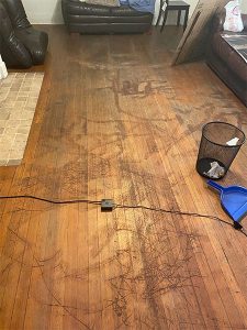 wood floor refinishing before